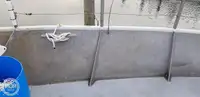 拖网渔船 待售