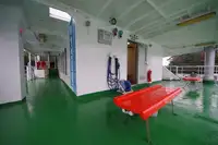 滚装船 待售