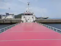 散货船 待售