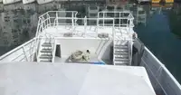 双体船 待售