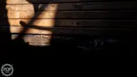 拖网渔船 待售