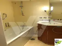 邮轮 待售