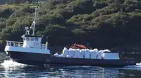 工作船 待售