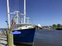 Trawler 出售
