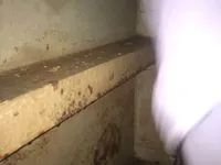 油/化学品油轮 待售