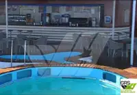 Ro-Ro ship 出售