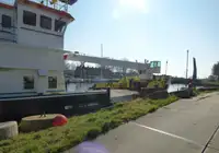 散货船 出售
