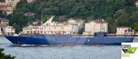 Ro-Ro ship 出售