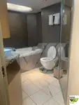 邮轮 待售