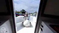 潜水支援船 待售