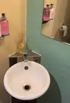 客滚船 待售