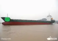 集装箱船 出售