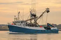 Purse seiner 出售