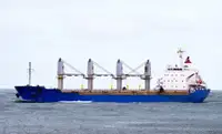 散货船 出售