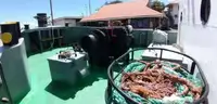 拖船 待售