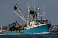 Purse seiner 出售