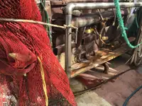 拖网渔船 待售
