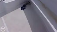 潜水支援船 待售