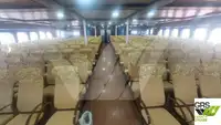 滚装船 待售