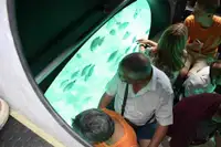 潜艇 待售