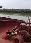 散货船 待售