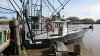 Trawler 出售