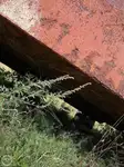 驳船 待售