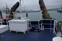 拖船 待售