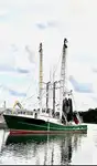 Trawler 出售