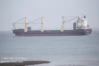 冷藏船 待售