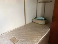 拖船 待售