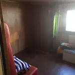集装箱船 待售