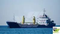 散货船 出售