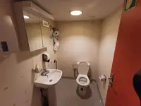 滚装船 待售
