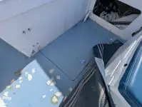 客滚船 待售