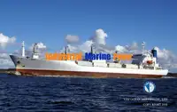 冷藏船 待售