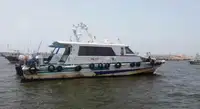 引航船 待售