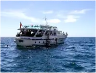 邮轮 待售
