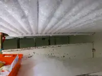 拖网渔船 待售