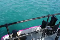 General Cargo/Multi-purpose 待售