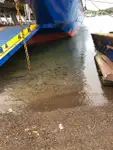 滚装船 待售