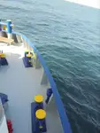 冷藏船 待售