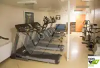 集装箱船 待售