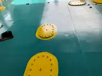 滚装船 待售