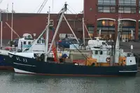 Trawler 出售