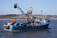 Purse seiner 出售