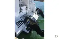 双体船 待售