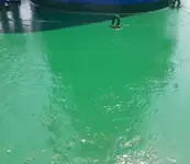散货船 待售