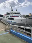 散货船 待售
