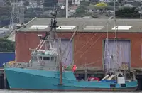 Trawler 出售